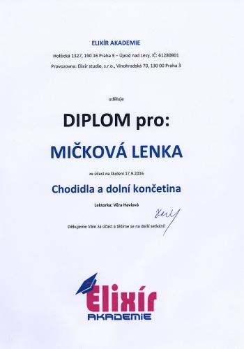 Diplom-Chodidla-a-dolni-koncetina